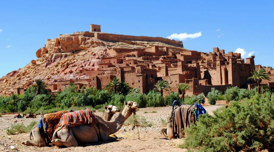 8 Days Marrakech Morocco Tour​